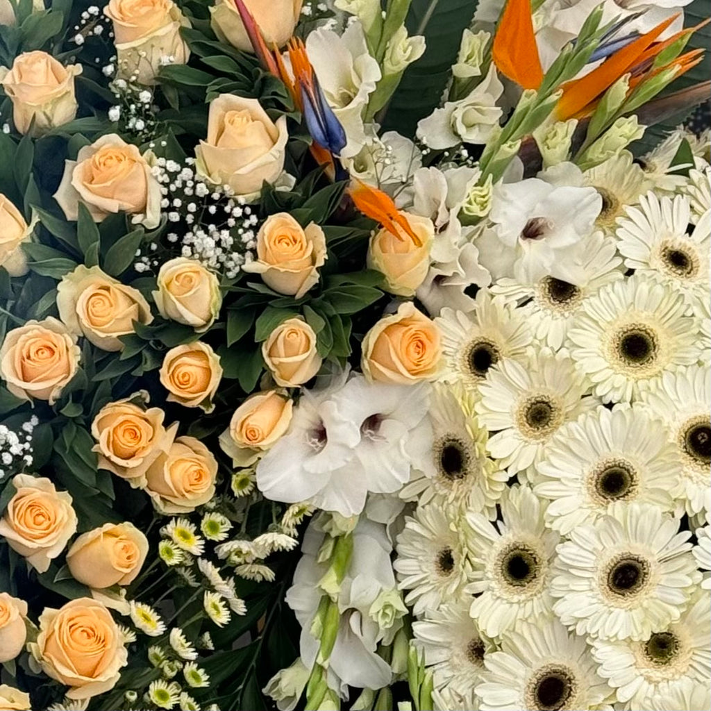 Final Farewell